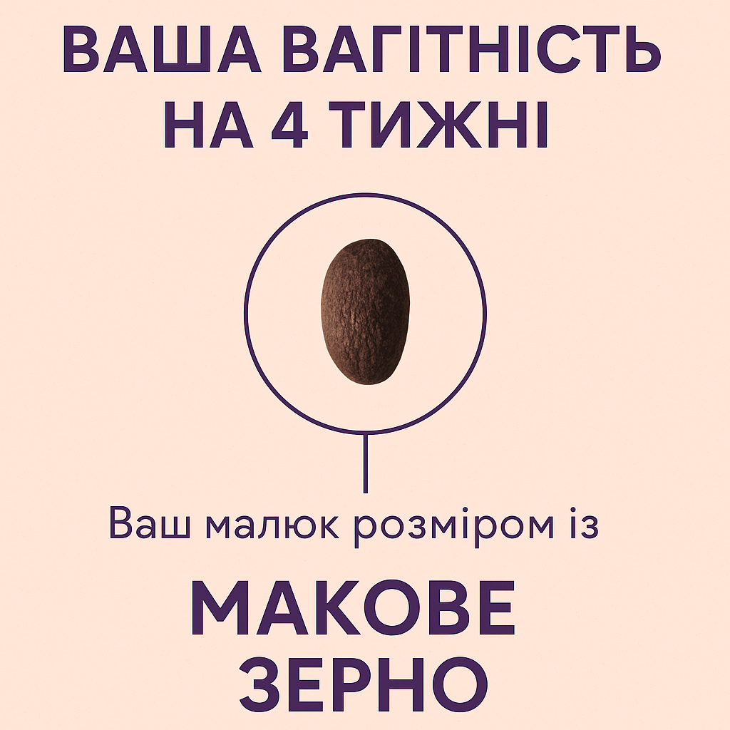 Твоя вагітність — 4-й тиждень