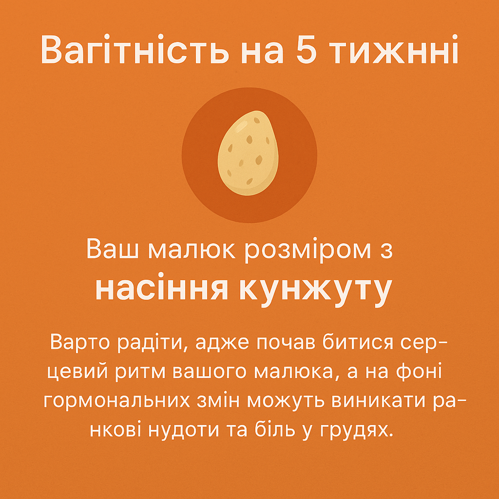 Твоя вагітність — 5-й тиждень