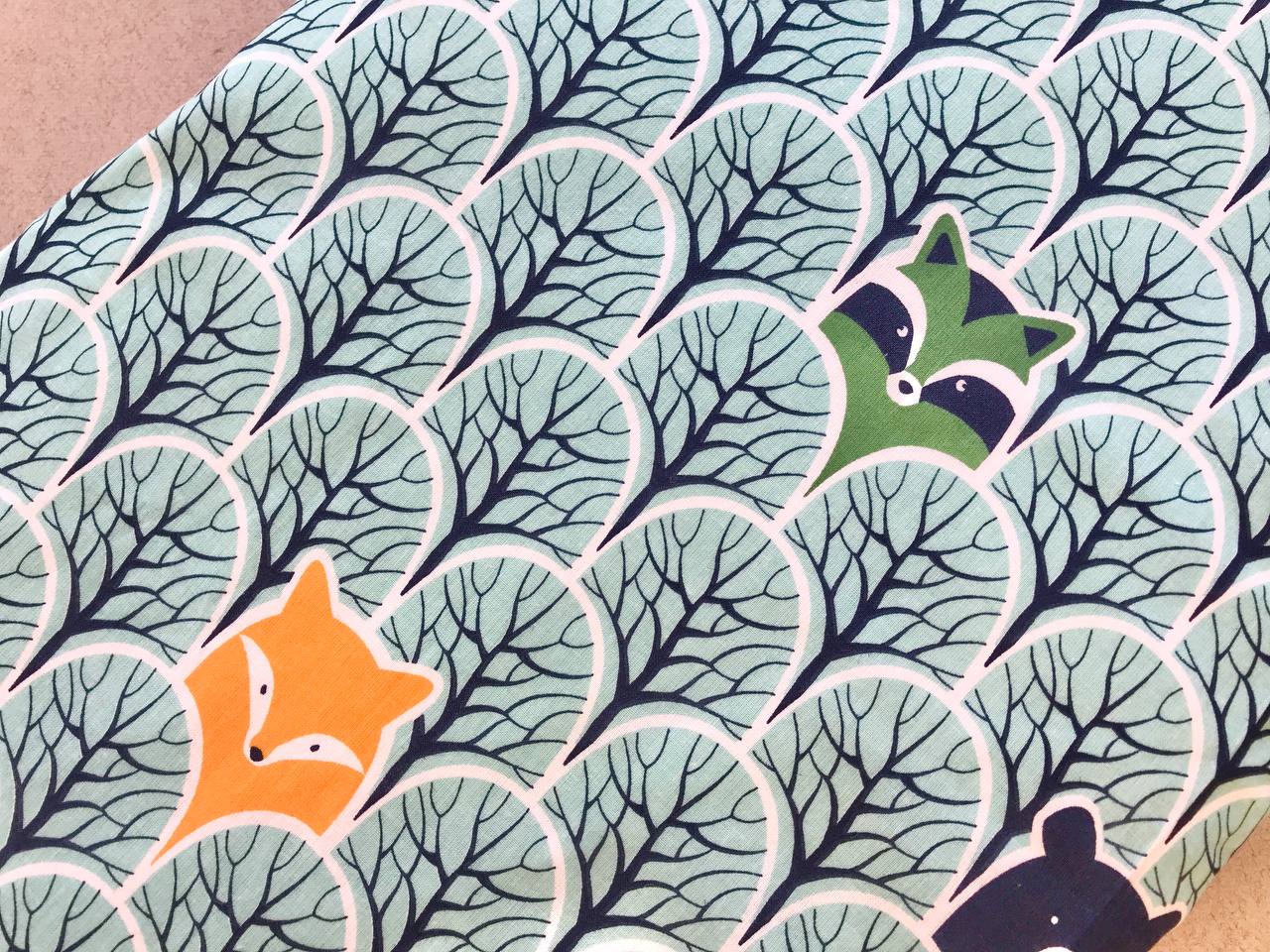 prostin-v-kolyasku-zviri-na-lazurnomu